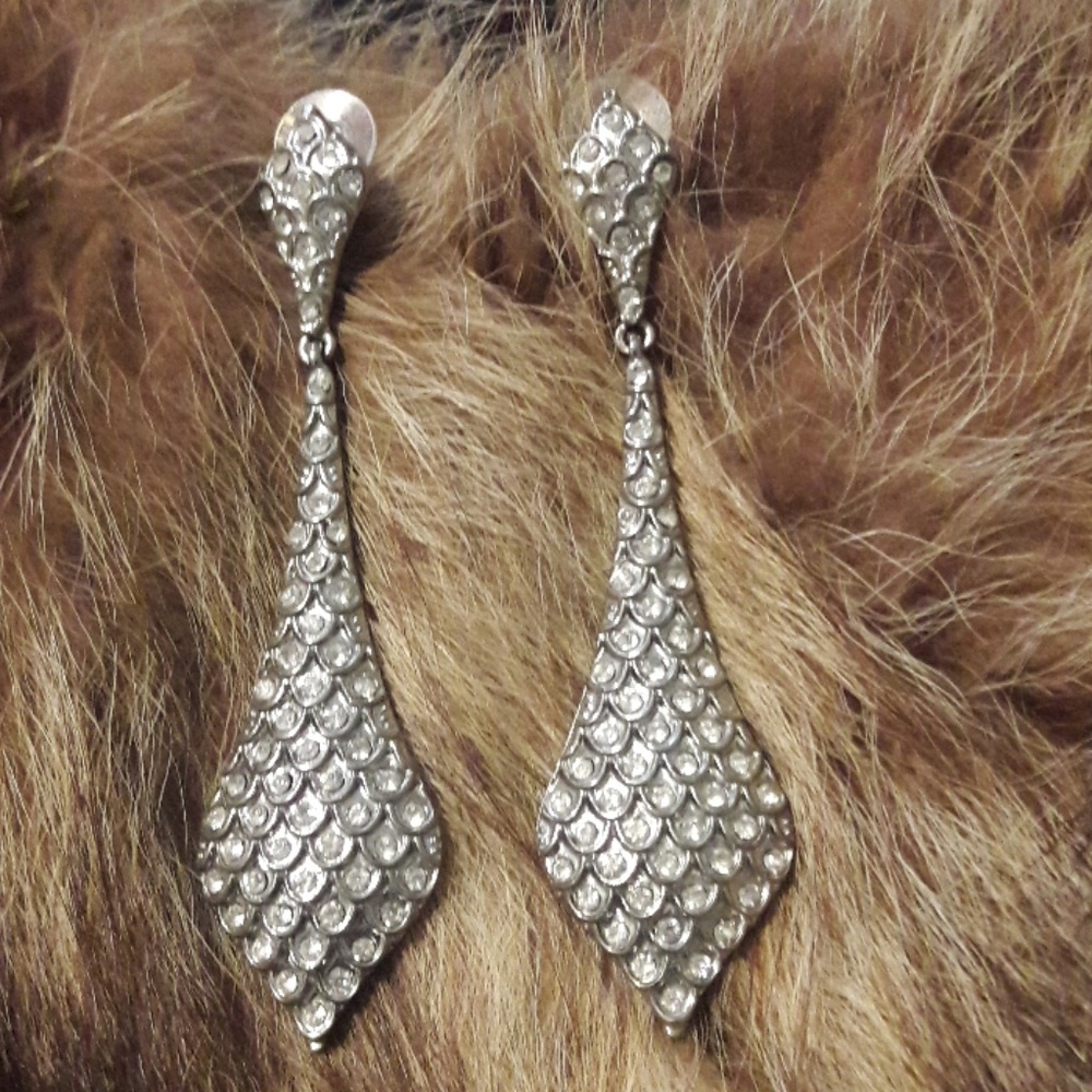 Silver Dazzling Earrings
